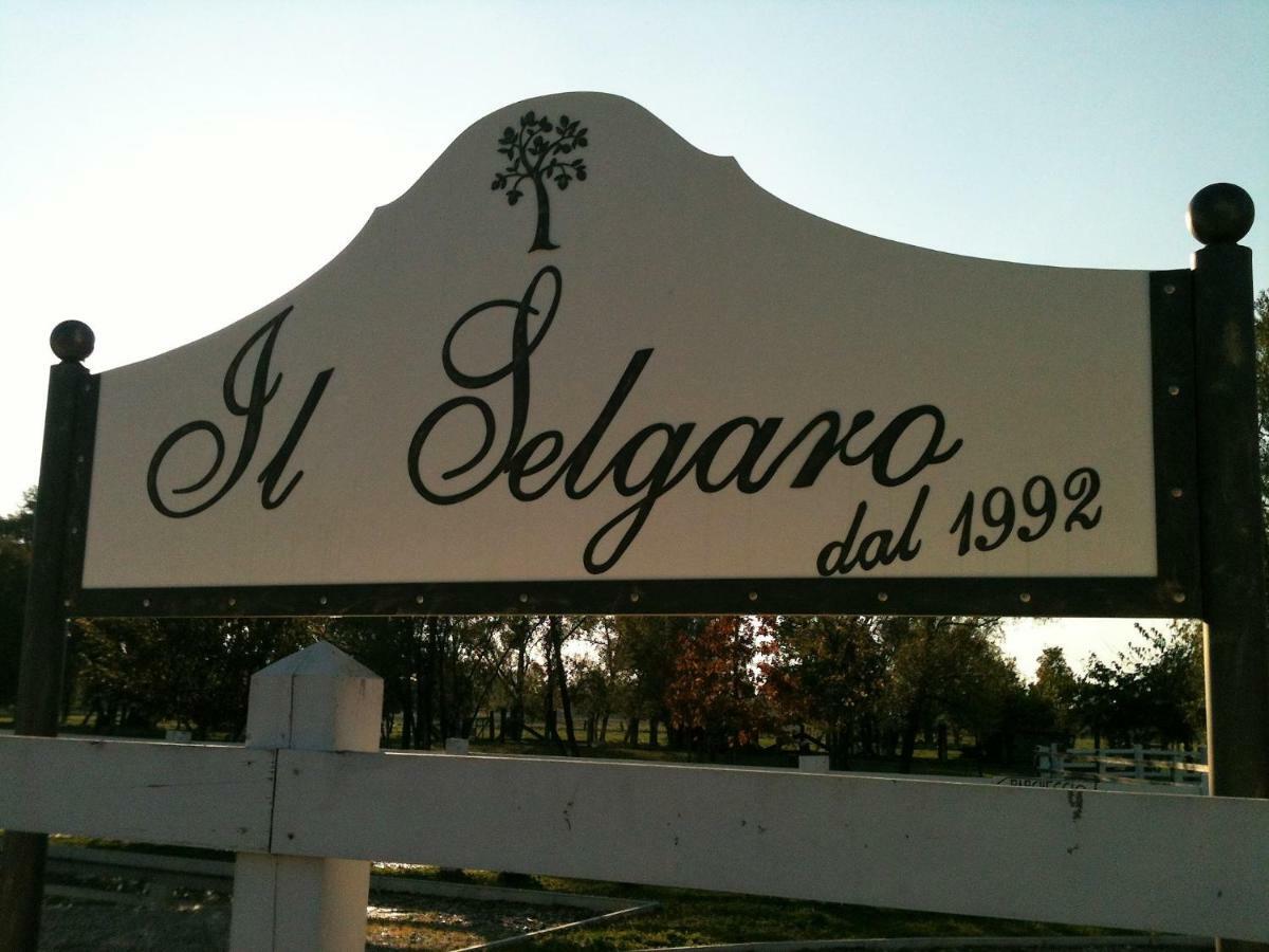 Il Selgaro Agriturismo Hotel Zelarino ภายนอก รูปภาพ